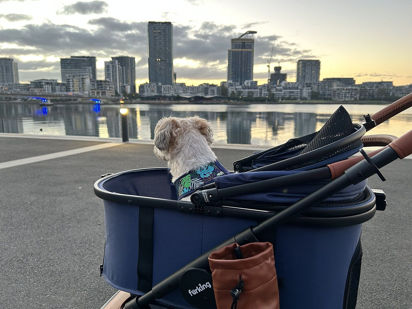 Customer Guide Icon Are Pets Allowed On Australian Public Transport? The Full 2026 State-By ...