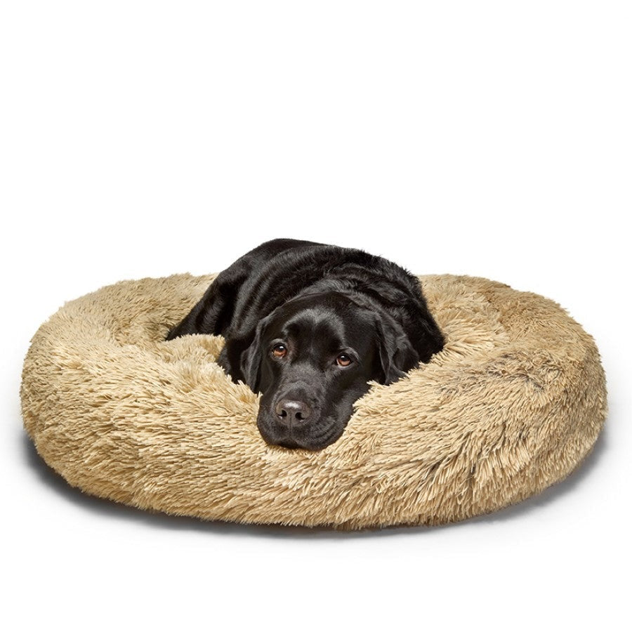 Orthopedic Dog Bed vs. Calming Dog Bed vs. No-Chew Dog Bed : The Ultimate Showdown