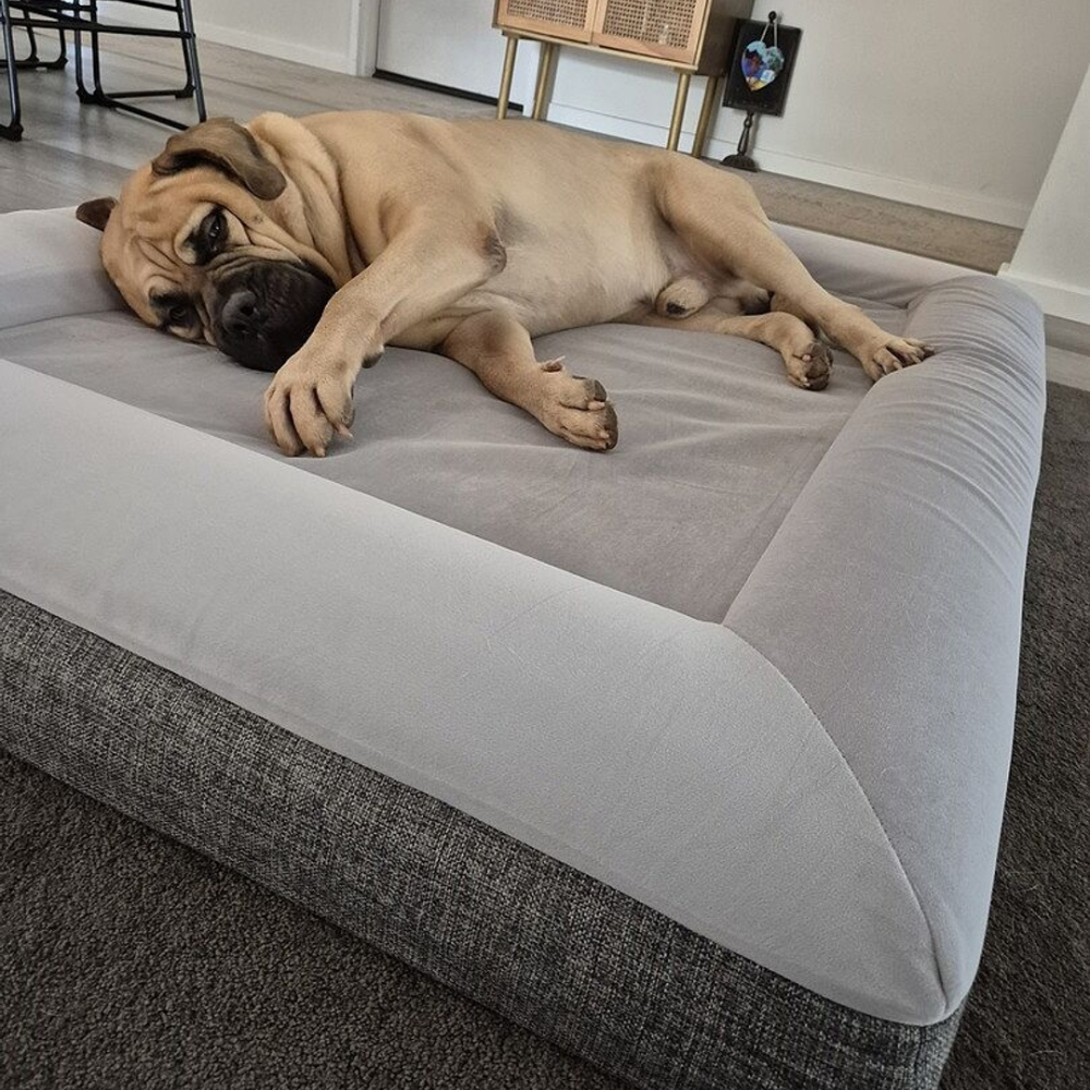 Best Orthopedic Dog Bed | Fur King "Ortho"