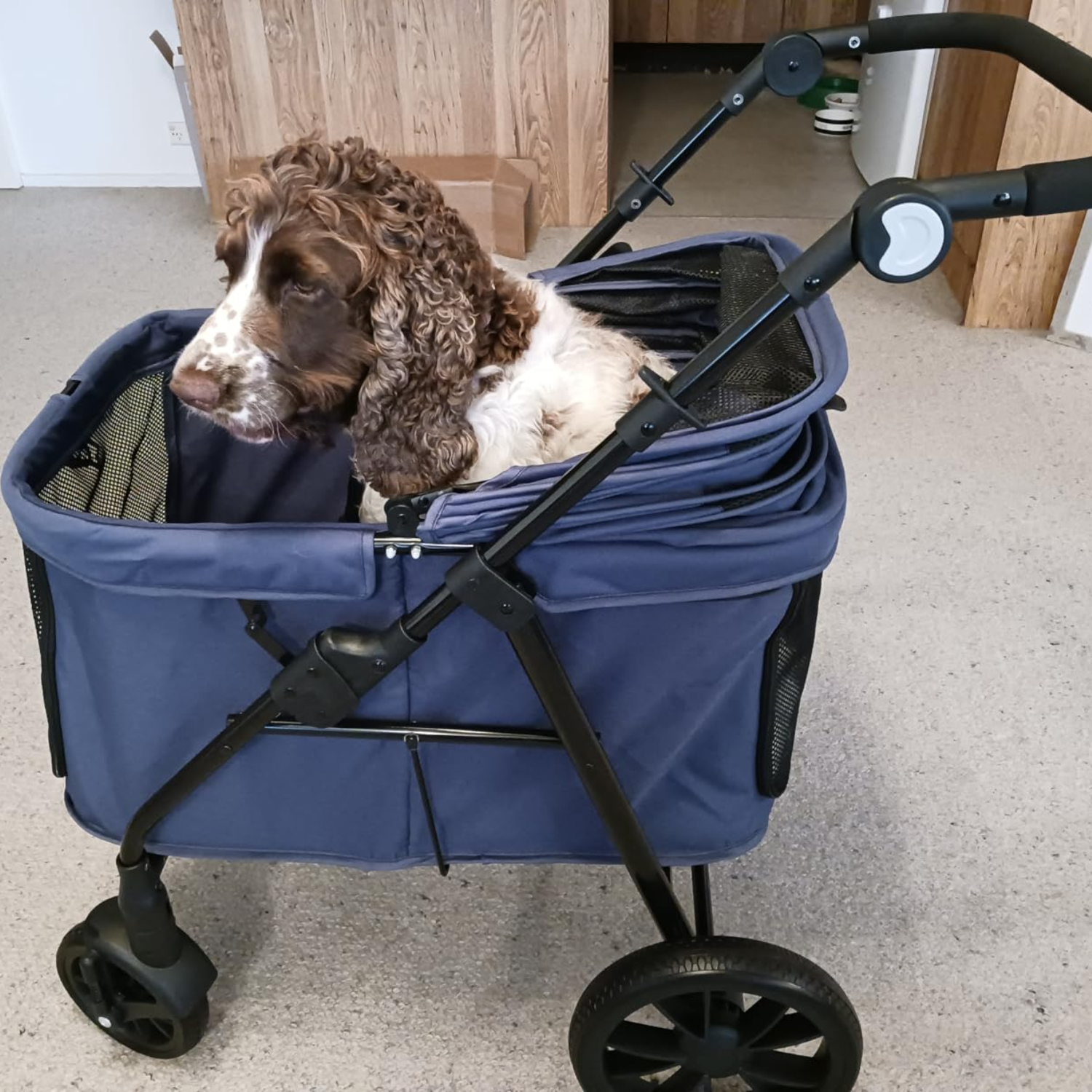 Fur King Wagon - 30 kg Pet Pram