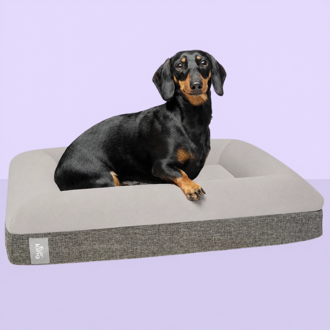 Best Orthopedic Dog Bed | Fur King "Ortho"