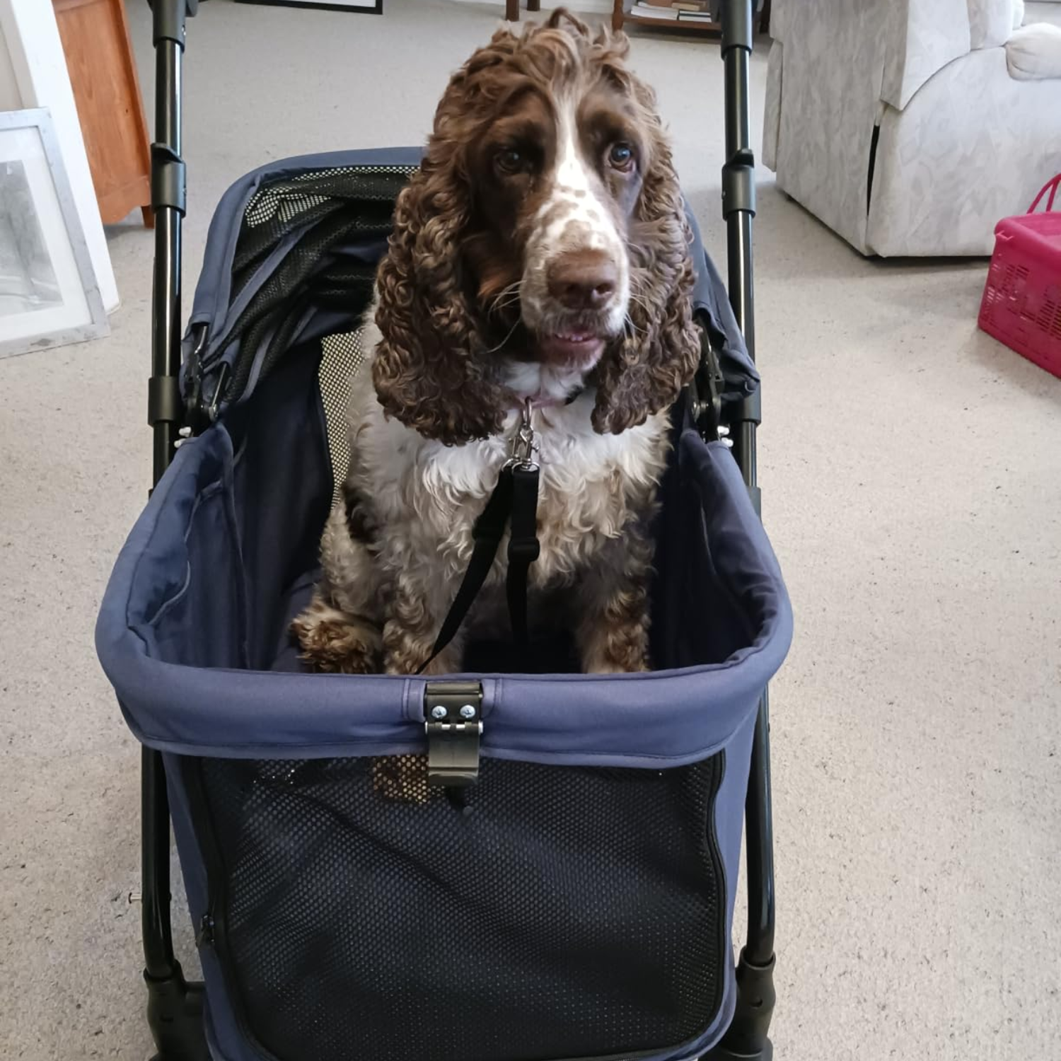 Fur King Wagon - 30 kg Pet Pram
