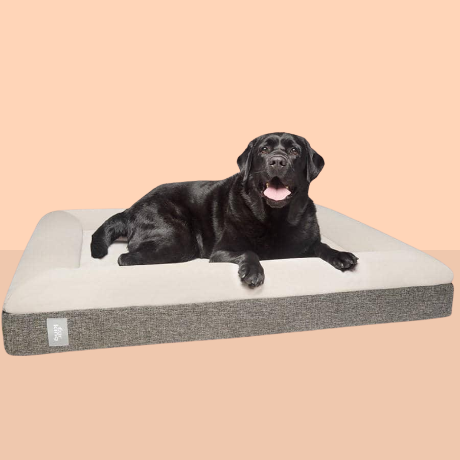 Best Orthopedic Dog Bed | Fur King "Ortho"