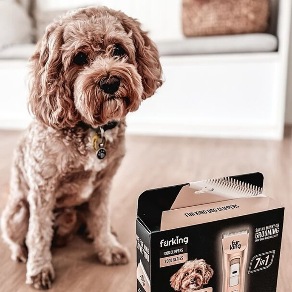 Best Dog Hair Clipper | Fur King 2000 | Over 200 Australia Reviews