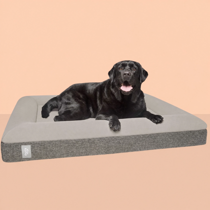Best Orthopedic Dog Bed | Fur King 