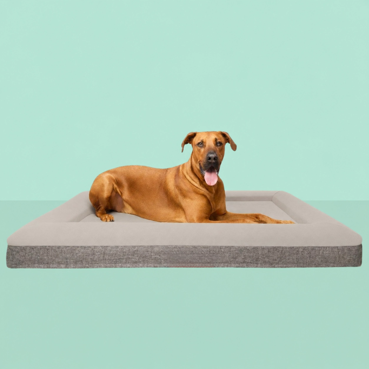 Best Orthopedic Dog Bed | Fur King "Ortho"