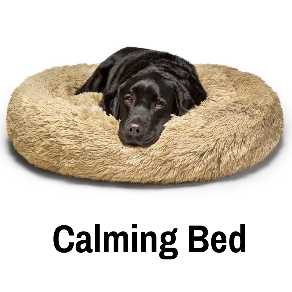 King sales dog beds