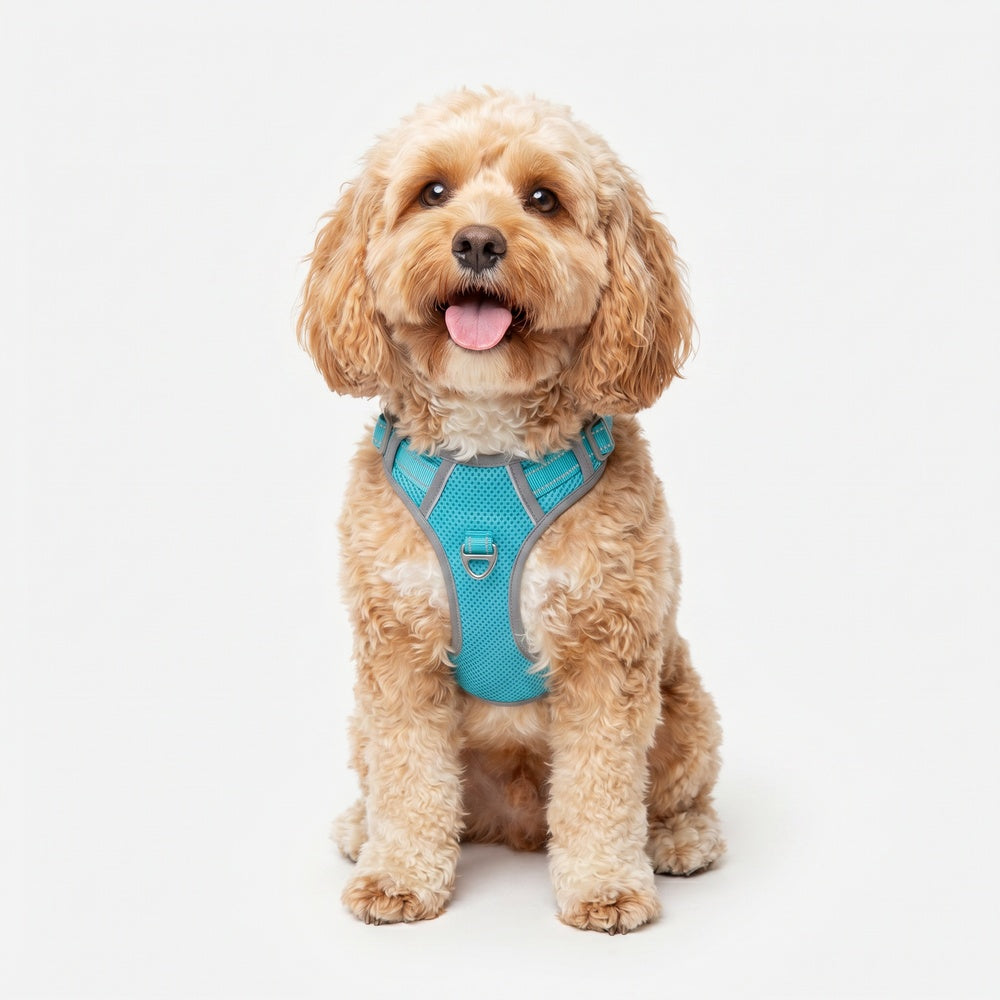 Best No Pull Dog Harness | Fur King Ultimate No Pull Harness