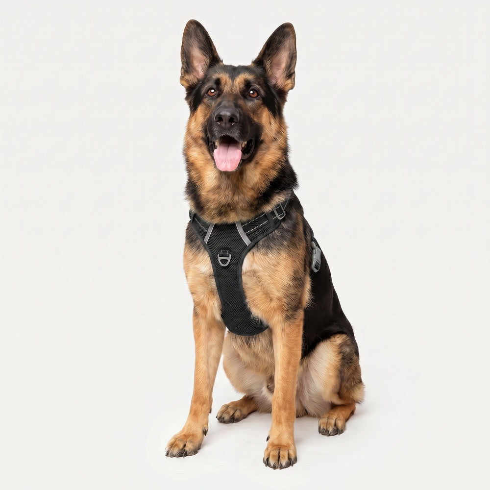 Best No Pull Dog Harness | Fur King Ultimate No Pull Harness