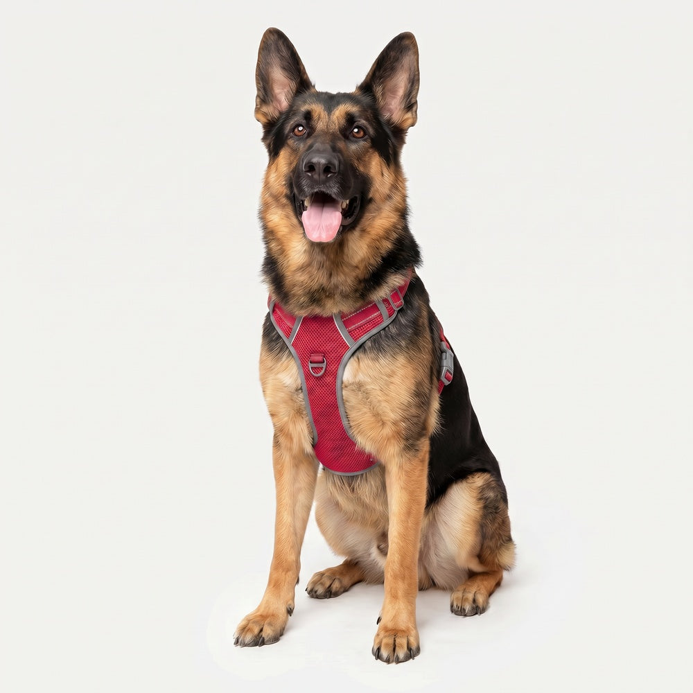 Best No Pull Dog Harness | Fur King Ultimate No Pull Harness
