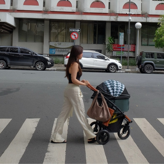 Best Pet Stroller | Fur King Jogger Dog Pram