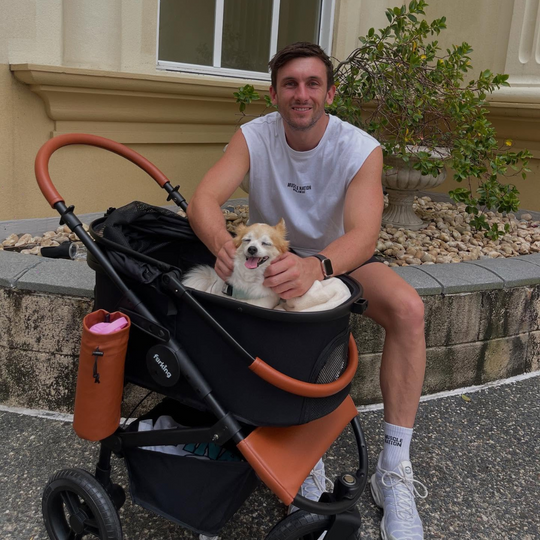 Best Pet Stroller | Fur King Jogger Dog Pram