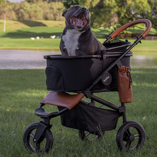 Best Pet Stroller | Fur King Jogger Dog Pram