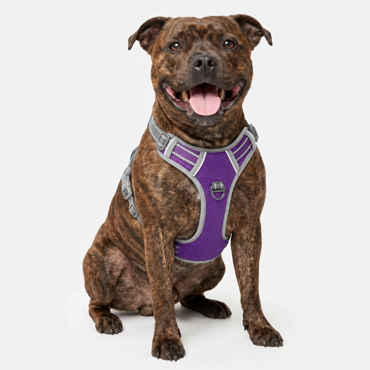 Best No Pull Dog Harness | Fur King Ultimate No Pull Harness