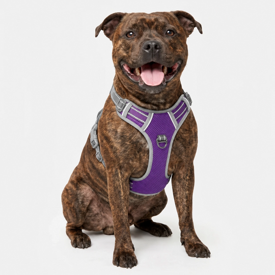 Best No Pull Dog Harness | Fur King Ultimate No Pull Harness