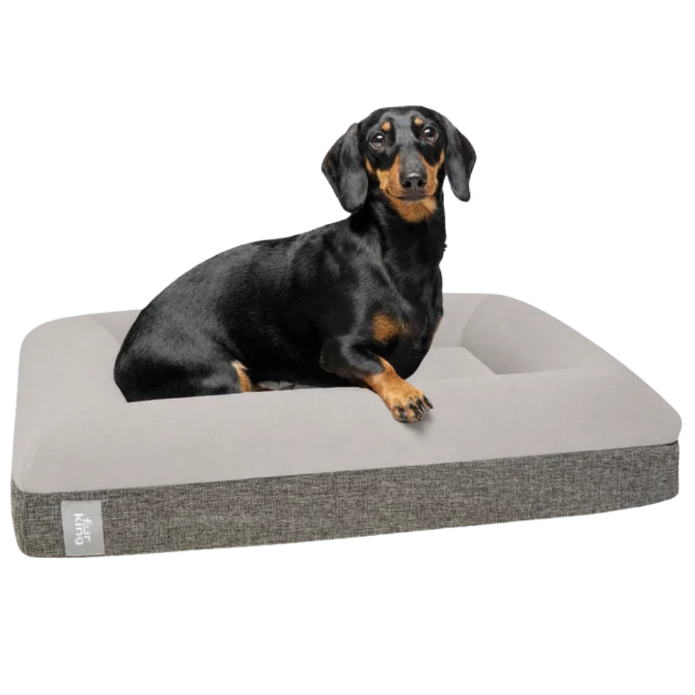 Best Orthopedic Dog Bed | Fur King "Ortho"