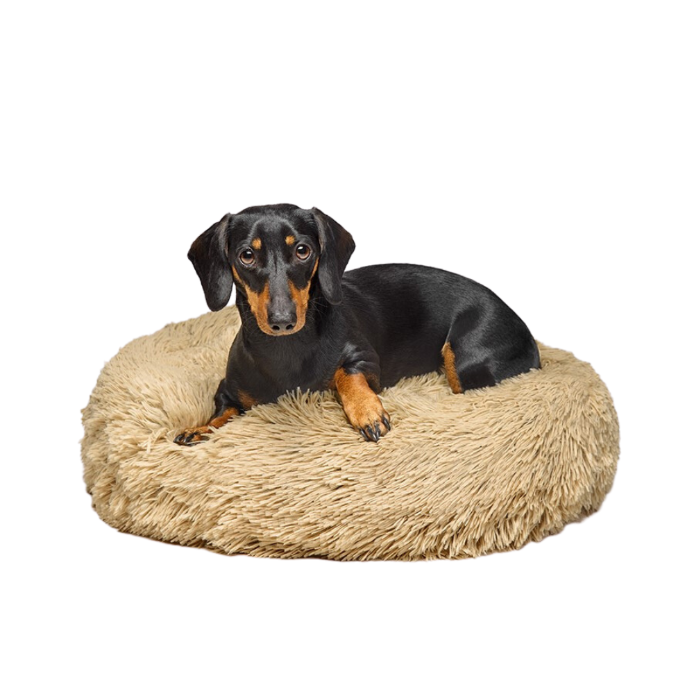 Fur King "Aussie" | Best Calming Dog Bed | Vet Recommended
