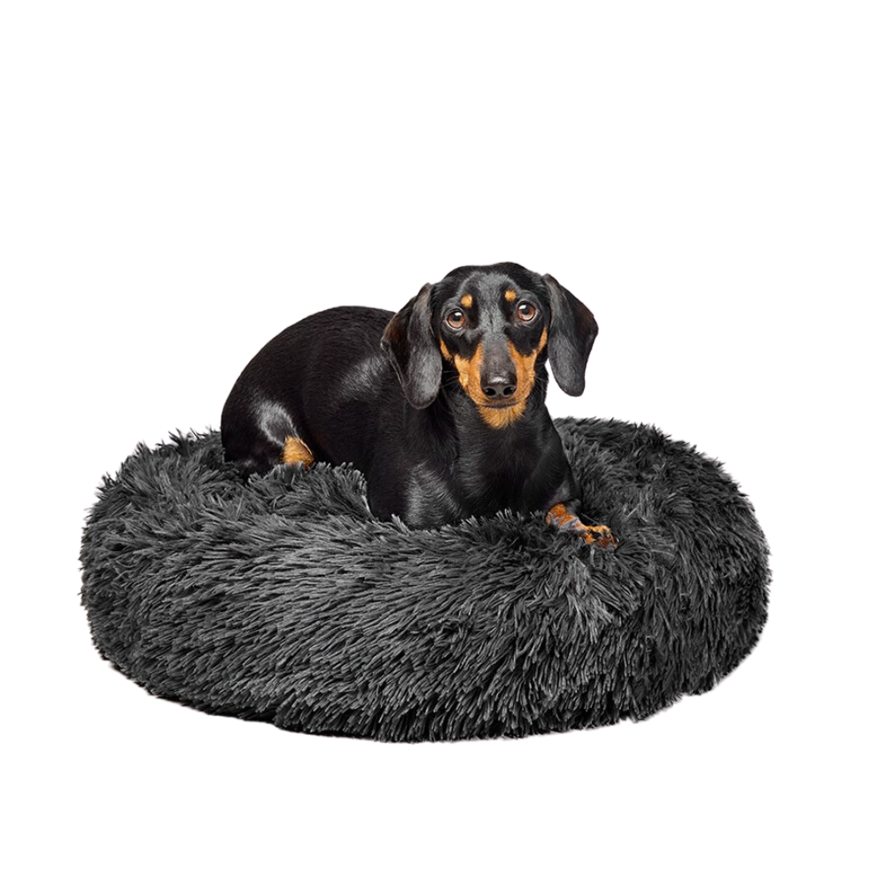 Comfy calming dog bed best sale