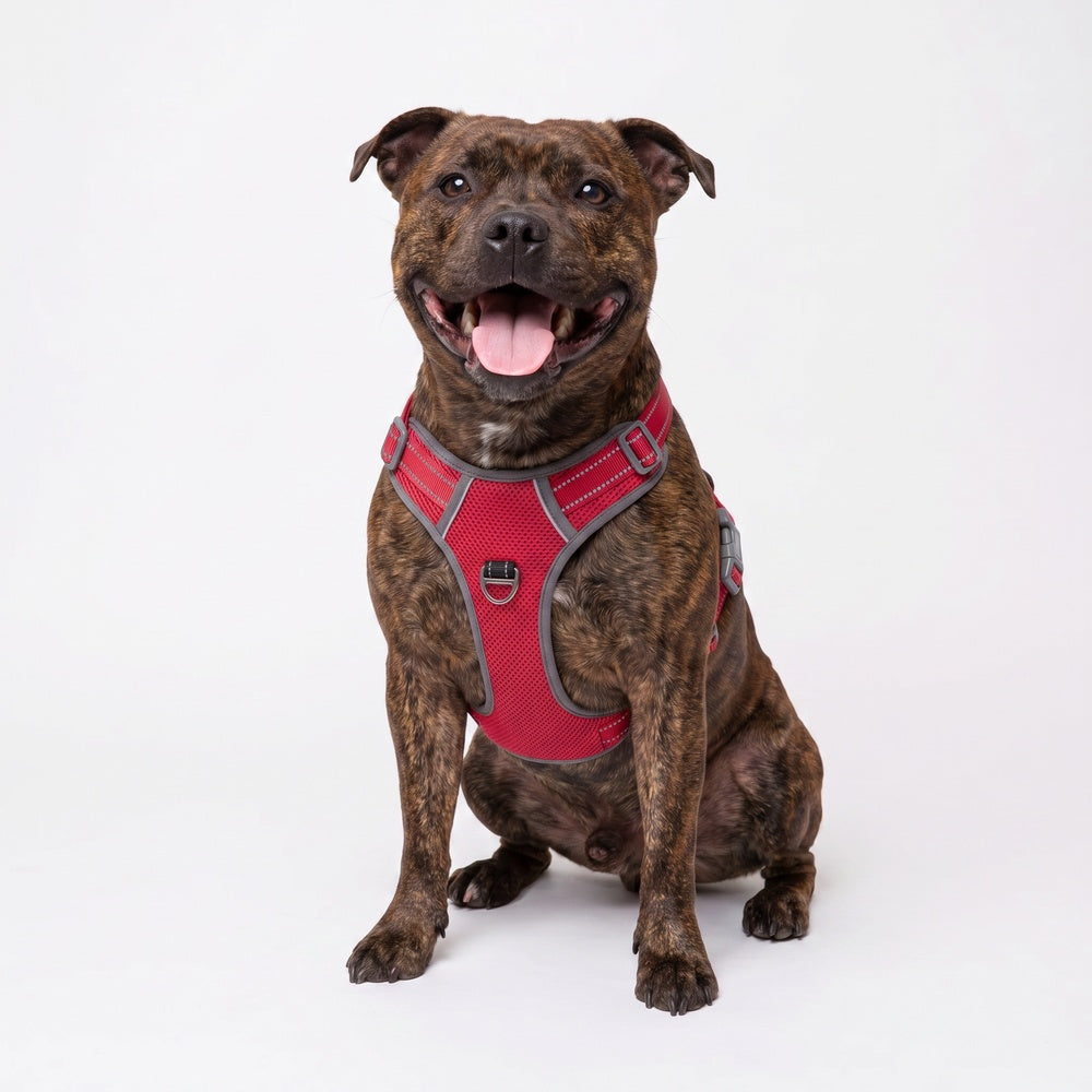 Best No Pull Dog Harness | Fur King Ultimate No Pull Harness
