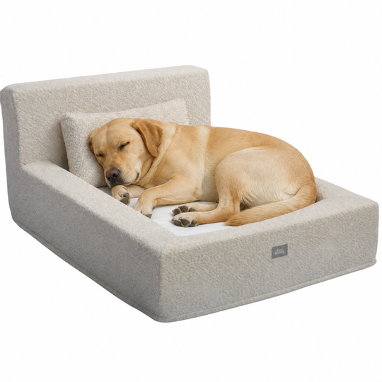 Fur King Throne - Orthopedic Dog Bed