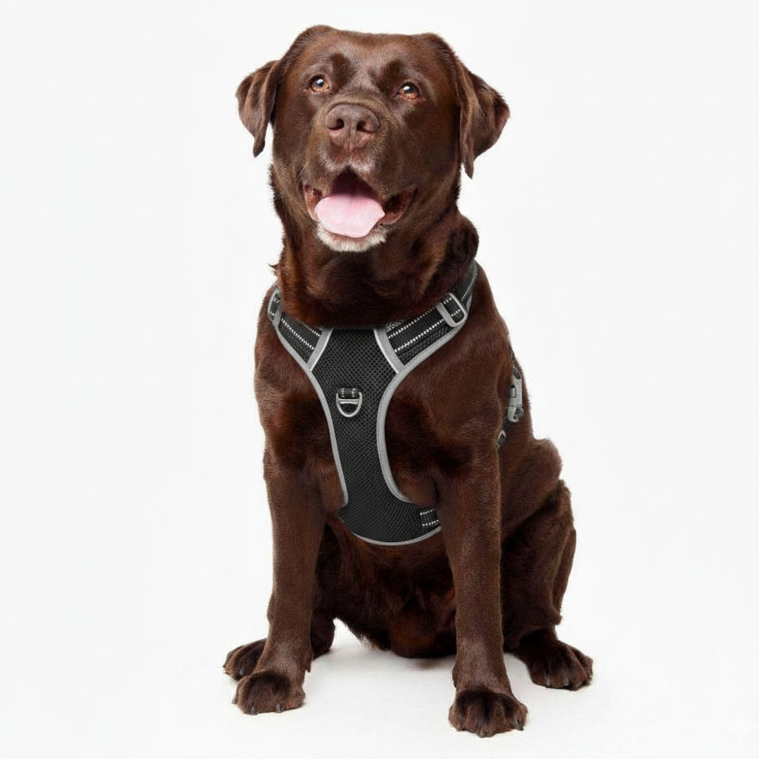 Best No Pull Dog Harness Fur King Ultimate No Pull Harness