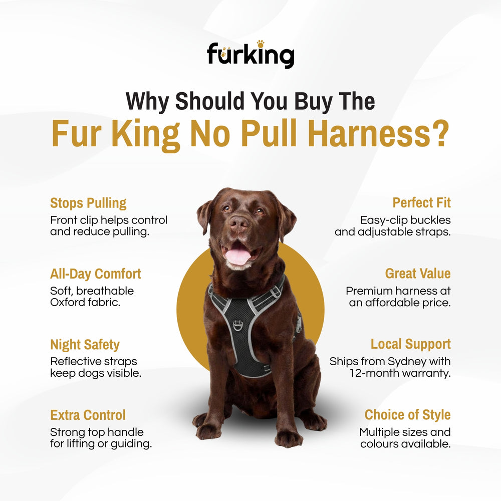 Best No Pull Dog Harness | Fur King Ultimate No Pull Harness | Sizes Small To XL