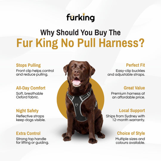 Best No Pull Dog Harness | Fur King Ultimate No Pull Harness | Sizes Small To XL