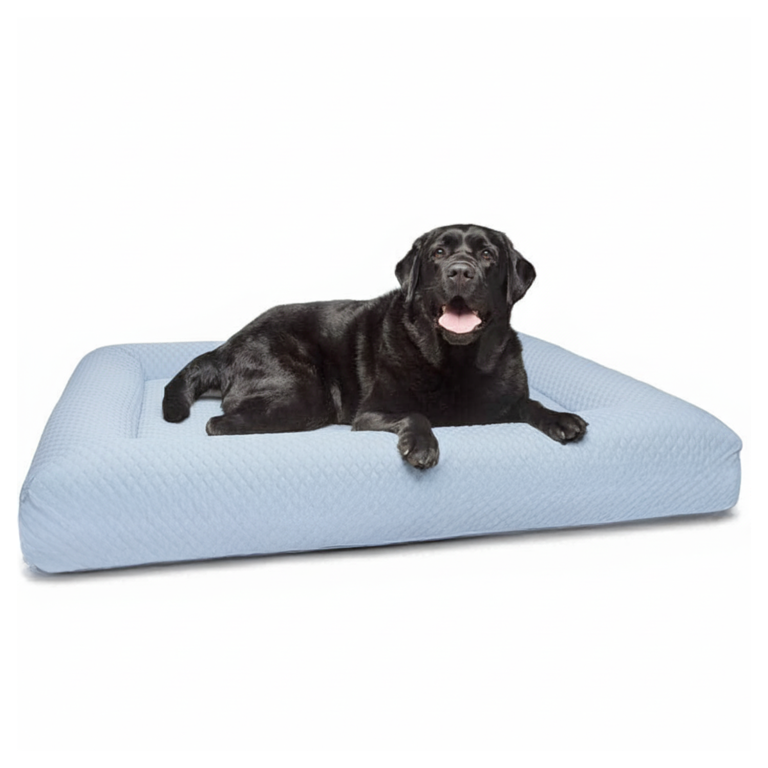 Fur King Ortho Cooling Cover