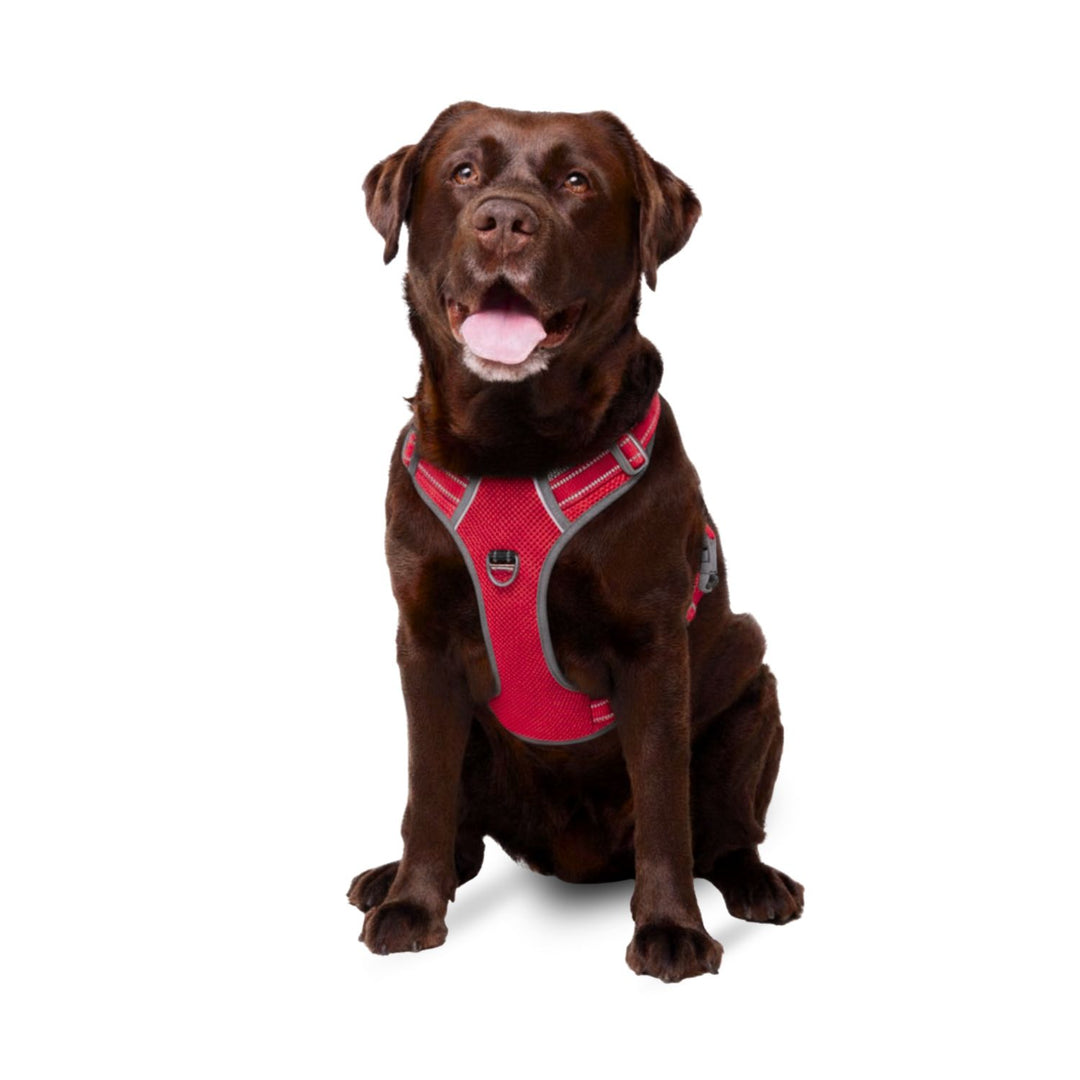 Best No Pull Dog Harness | Fur King Ultimate No Pull Harness | Sizes Small To XL