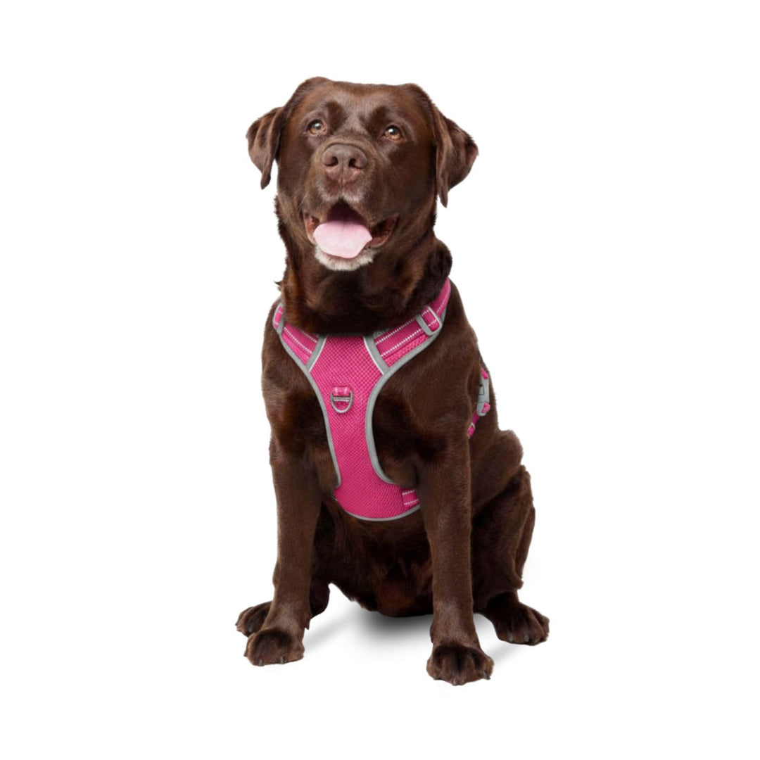 Best No Pull Dog Harness | Fur King Ultimate No Pull Harness | Sizes Small To XL