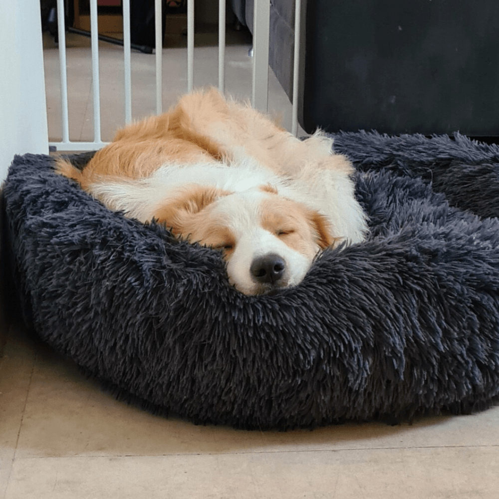 Australian Made Calming Dog Bed Fur King