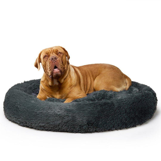 Fur King "Nap Time" Calming Dog Bed - Pet Parlour Australia