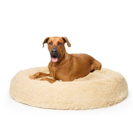 Fur King "Nap Time" Calming Dog Bed - Pet Parlour Australia