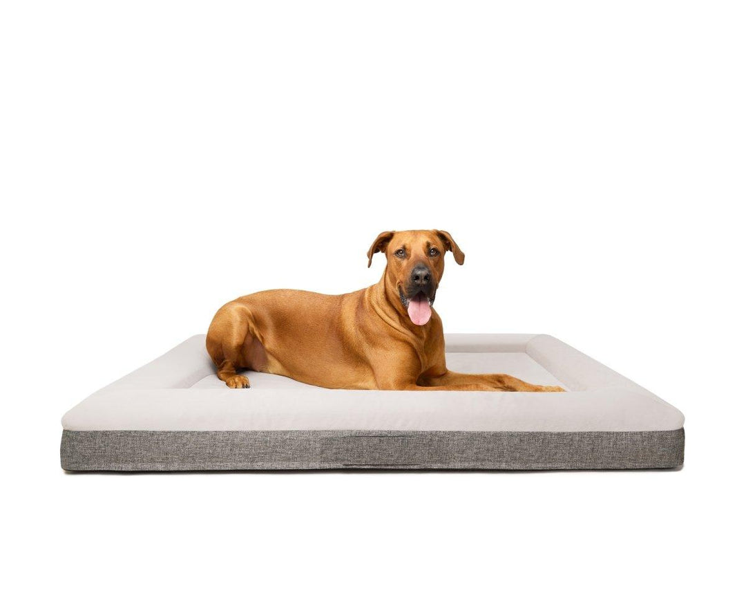 Orthopedic Dog Bed - Pet Parlour Australia