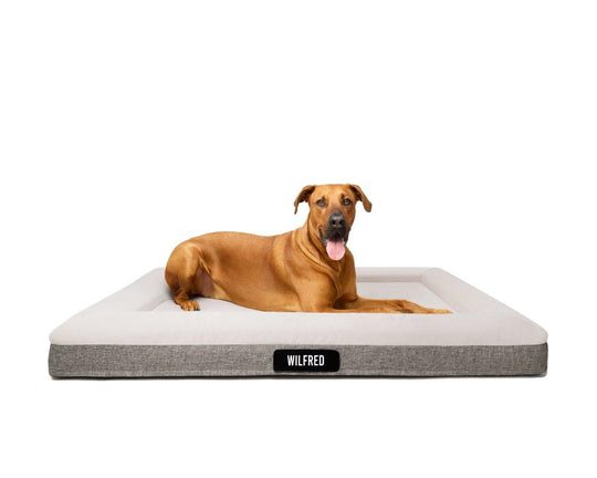 Fur King "Ortho" Orthopedic Dog Bed - Pet Parlour Australia