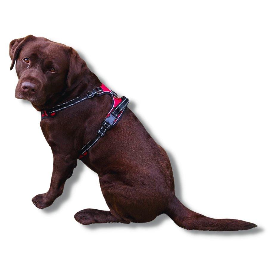 thumbnail image 2 of No Pull Dog Harness - Reflective 3-in-1 Rope Harness For Small & Medium Dogs 2 of 12